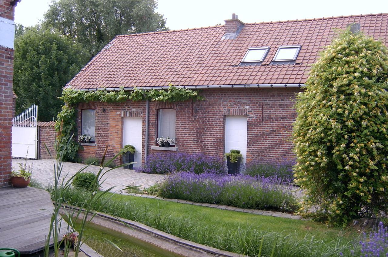 B&B De Pepelinck Denderwindeke Exteriör bild